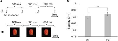 Visual over auditory superiority in sensorimotor timing under optimized condition